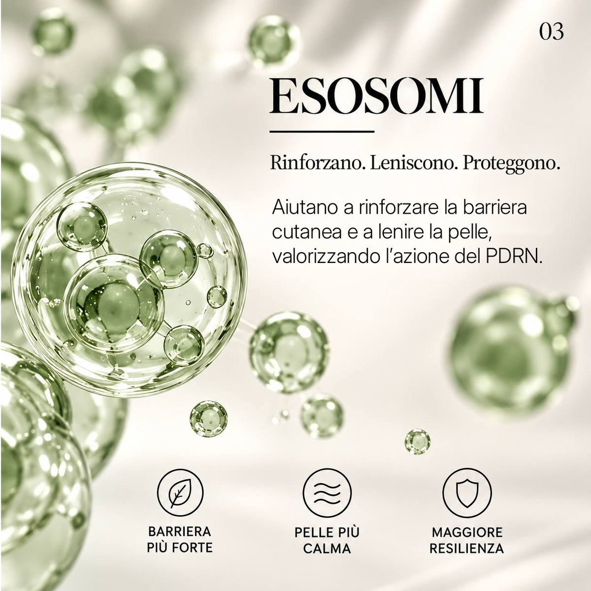Esosomi vegetali delle formule ELAXO: aiutano a rinforzare la barriera cutanea e a lenire la pelle