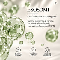 Esosomi vegetali delle formule ELAXO: aiutano a rinforzare la barriera cutanea e a lenire la pelle